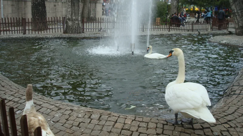 Kuğulu park – luiged Ankara kesklinnas