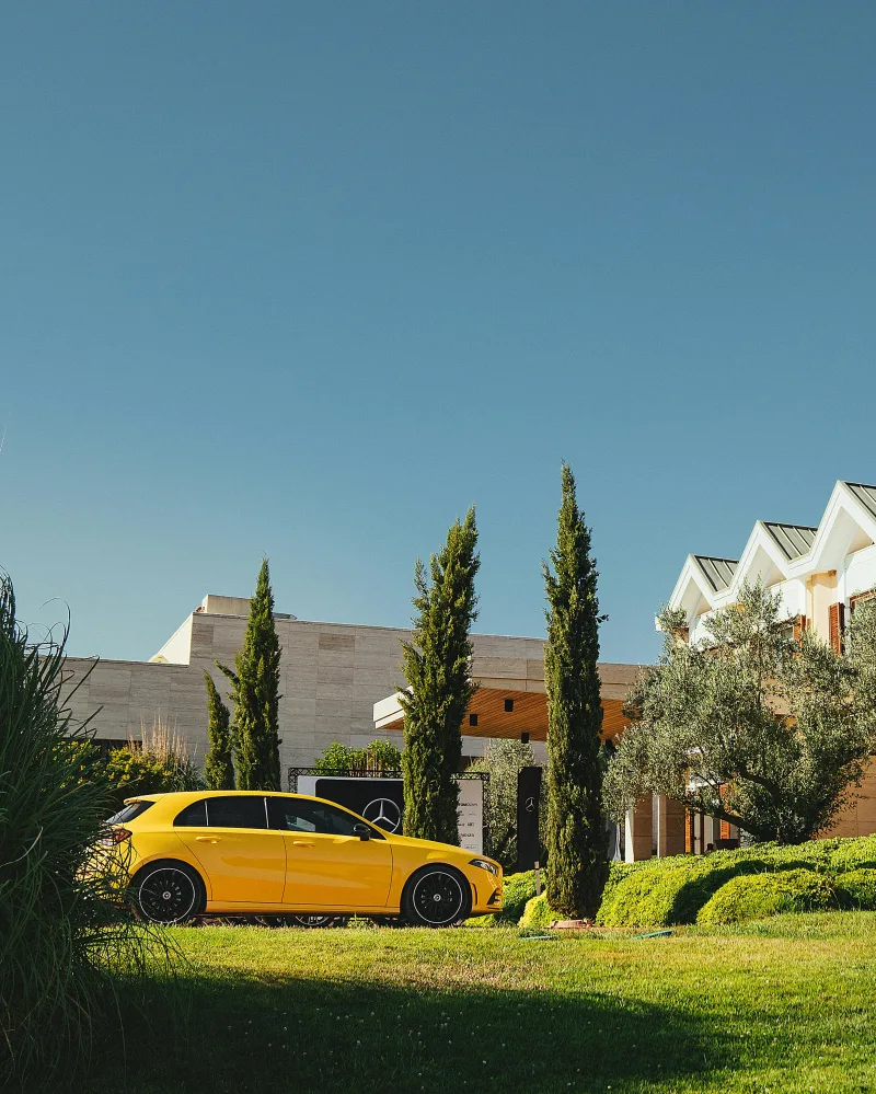 Legal assistance in inheritance law cases