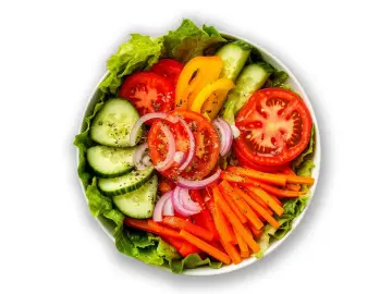 Вегетерианский