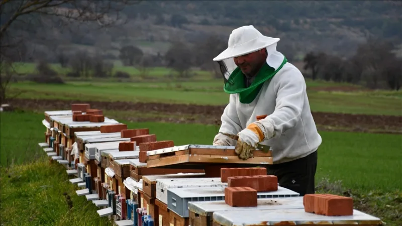 Adoptovaných 50 včelstiev v rámci projektu 