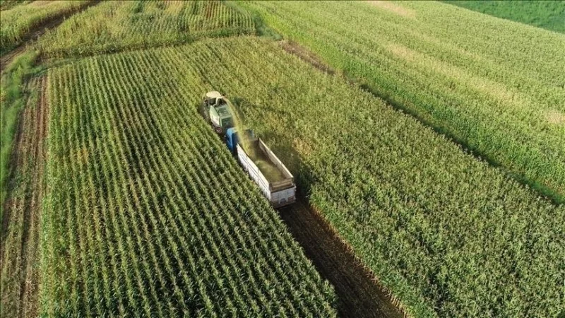 تم تنظيم المبادئ المتعلقة بحماية الأراضي الزراعية واستخدامها